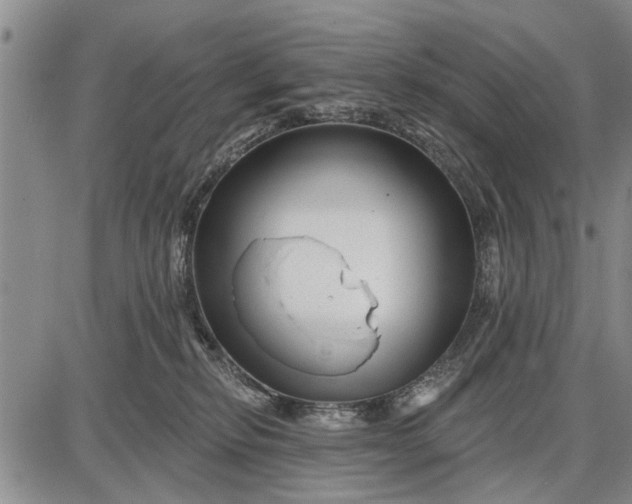 X0000087680278200705181737