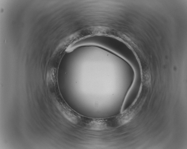 X0000087680280200705181737