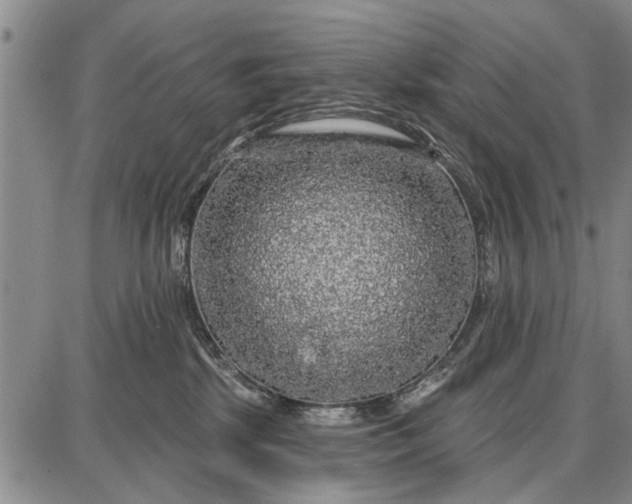 X0000087680281200705181737