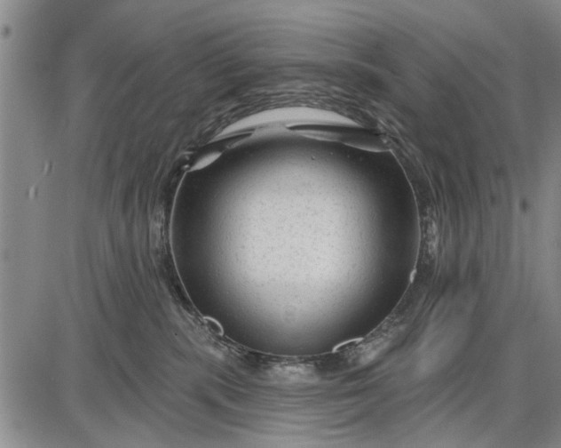 X0000087680283200705181737