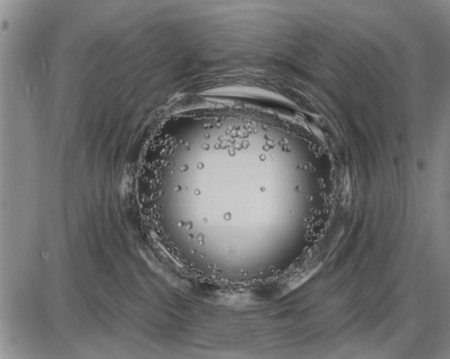 X0000087680284200705181737