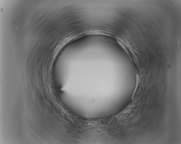 X0000087680289200705181736