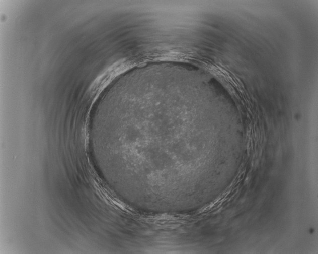 X0000087680290200705181736