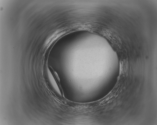 X0000087680291200705181736