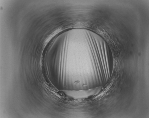 X0000087680292200705181736