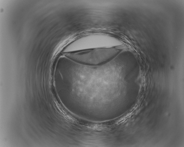 X0000087680293200705181736