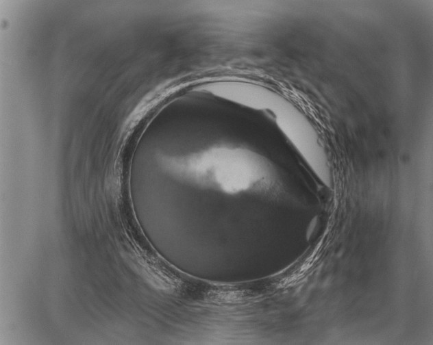 X0000087680295200705181736