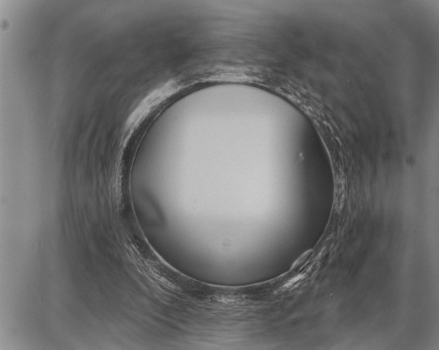 X0000087680296200705181736