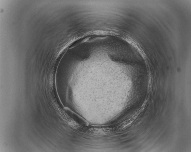 X0000087680297200705181736