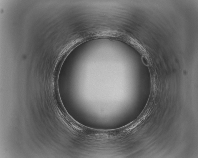 X0000087680298200705181736