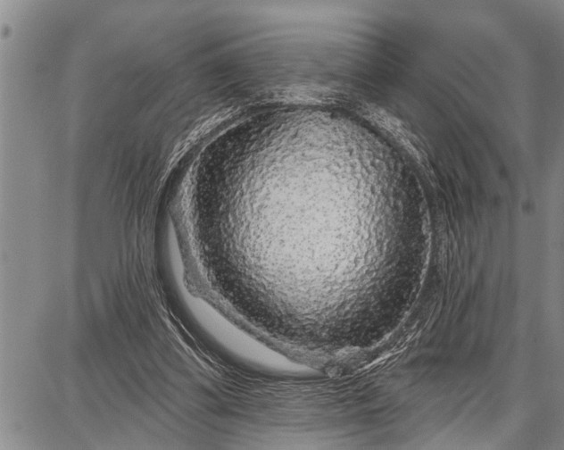 X0000087680299200705181736