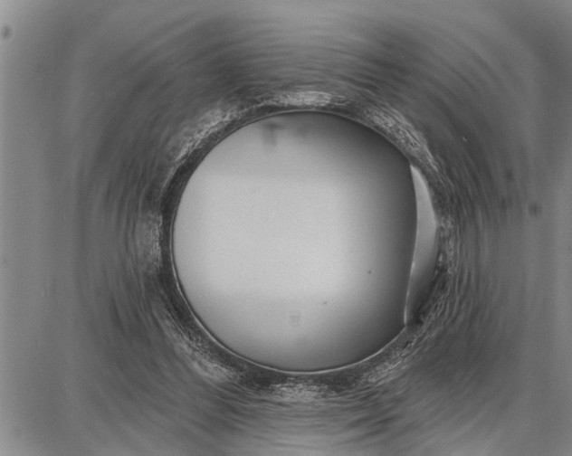 X0000087680300200705181736