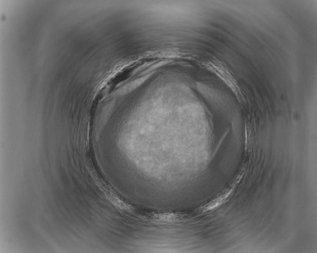 X0000087680301200705181736