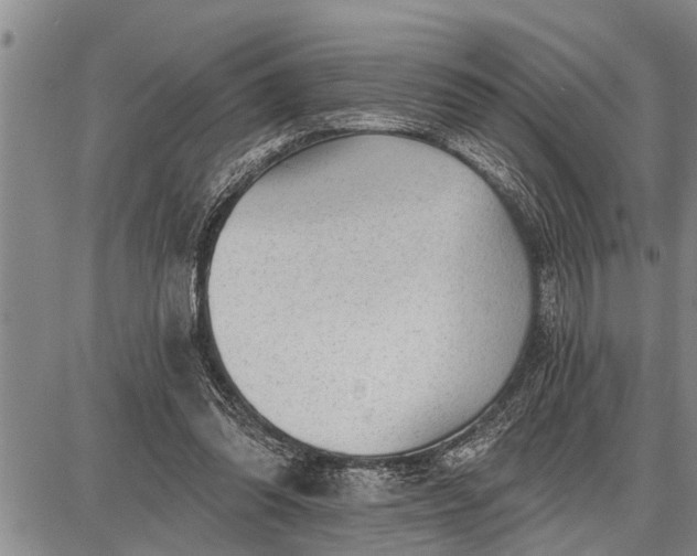 X0000087680302200705181736