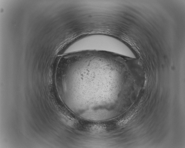 X0000087680303200705181736