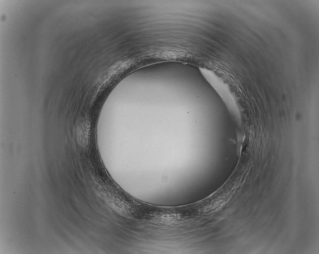 X0000087680304200705181736