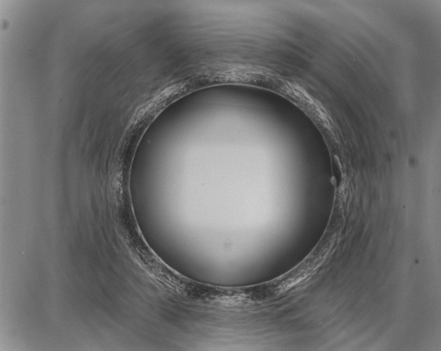 X0000087680306200705181736