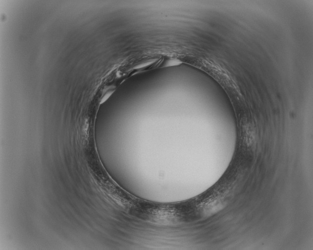 X0000087680308200705181736