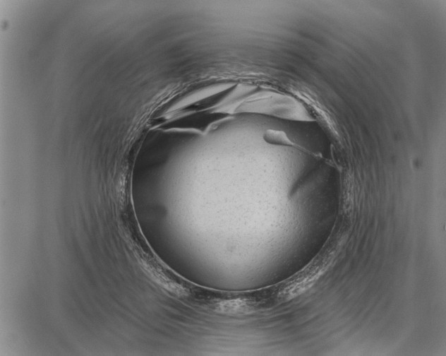 X0000087680309200705181736