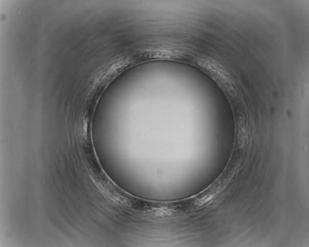 X0000087680310200705181736