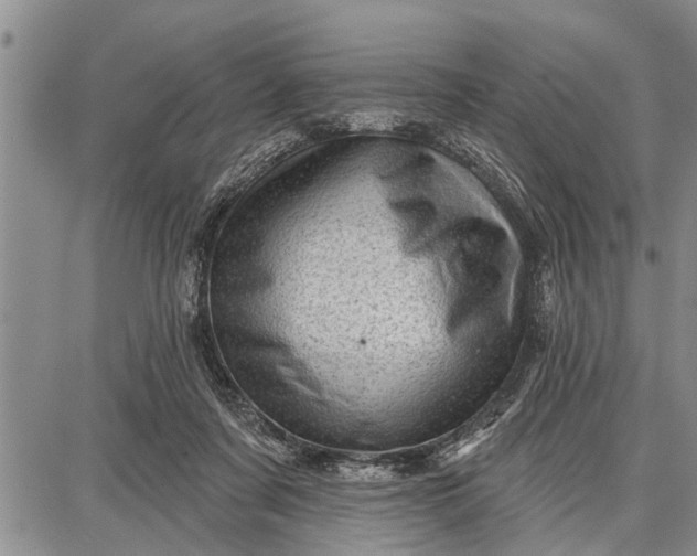 X0000087680311200705181736