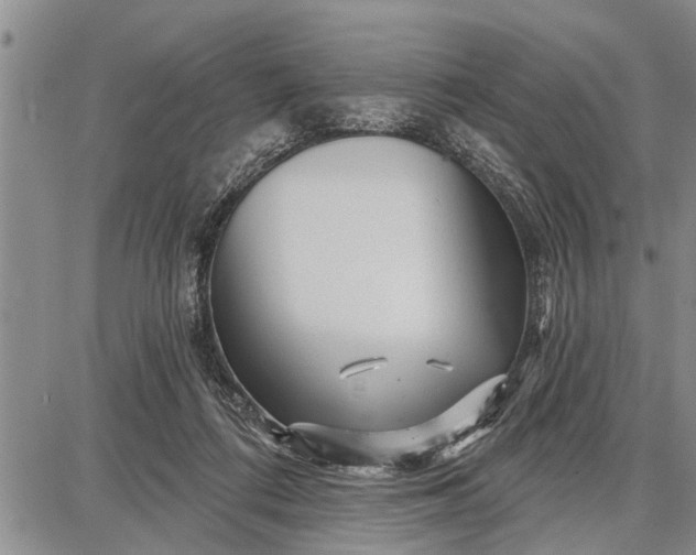 X0000087680312200705181736