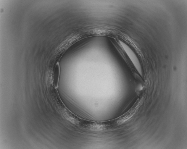 X0000087680313200705181736