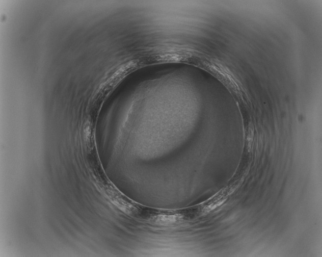 X0000087680314200705181736