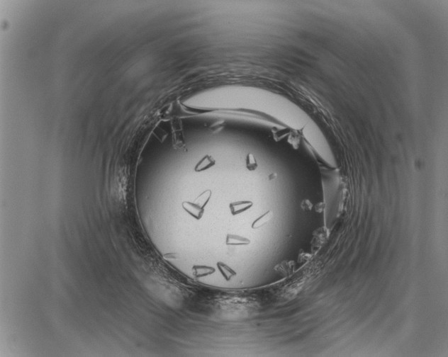 X0000087680315200705181736