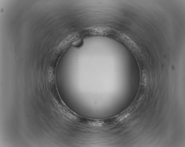 X0000087680318200705181736