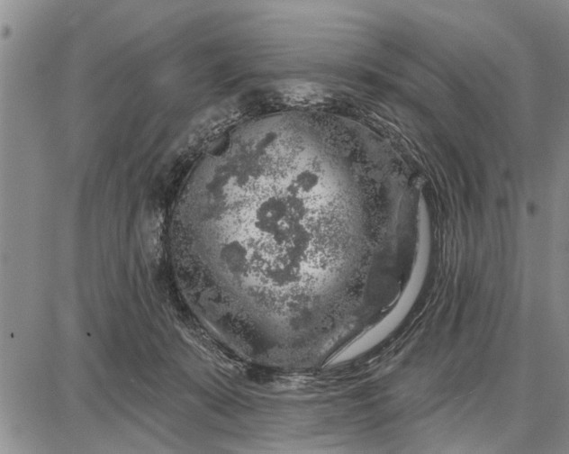 X0000087680319200705181736