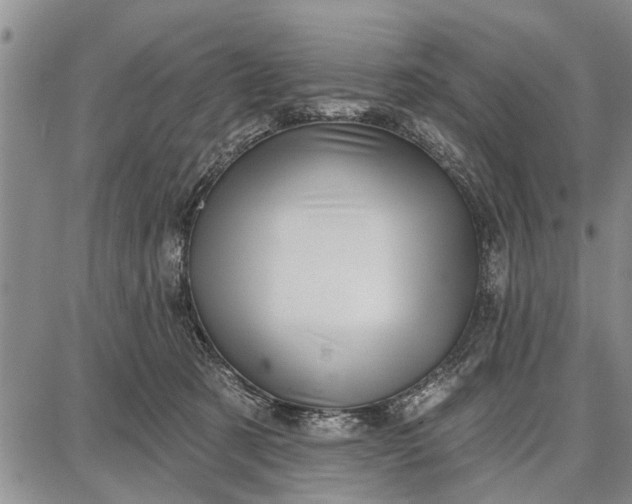 X0000087680321200705181736