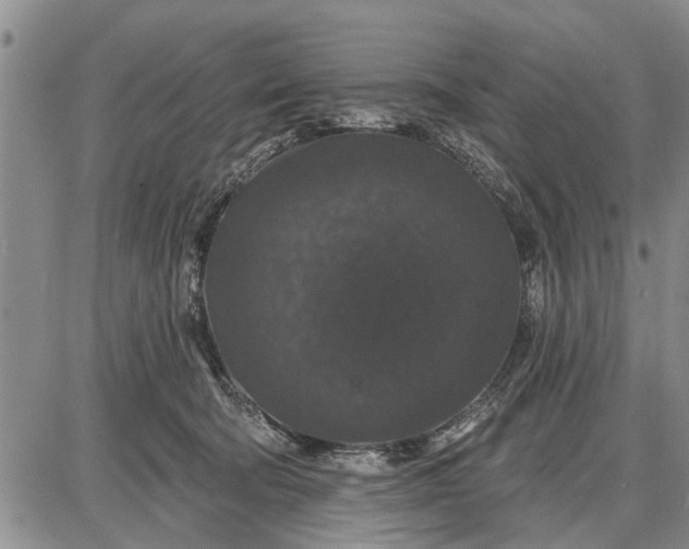 X0000087680322200705181736