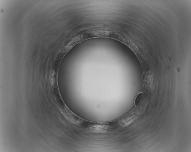 X0000087680323200705181736