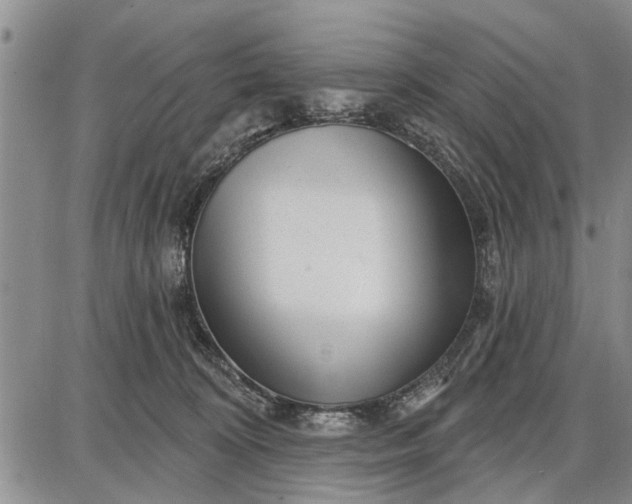 X0000087680324200705181736