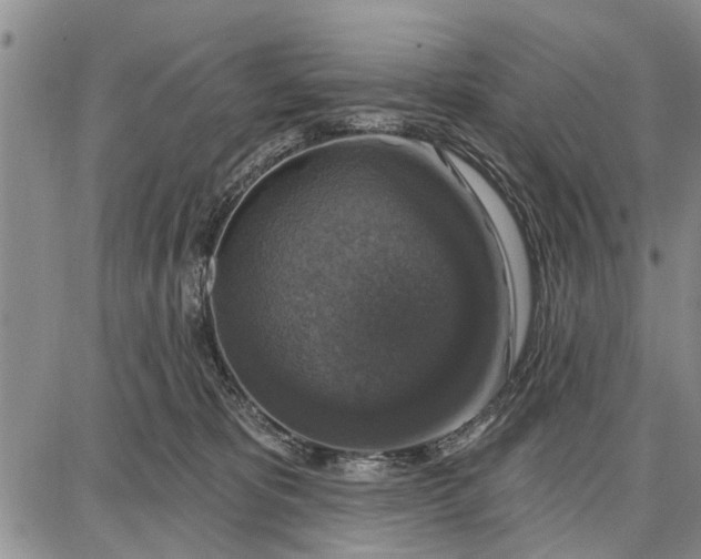 X0000087680325200705181736