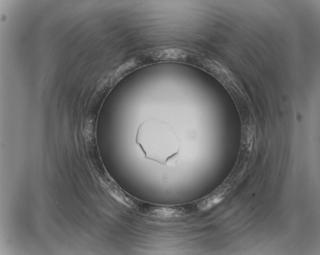 X0000087680326200705181736