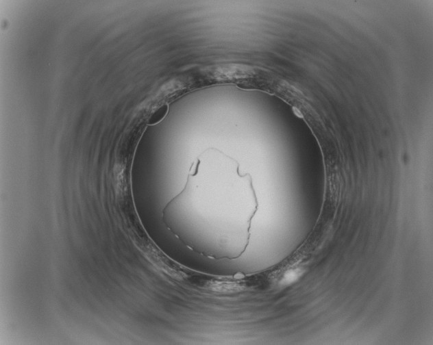 X0000087680327200705181736