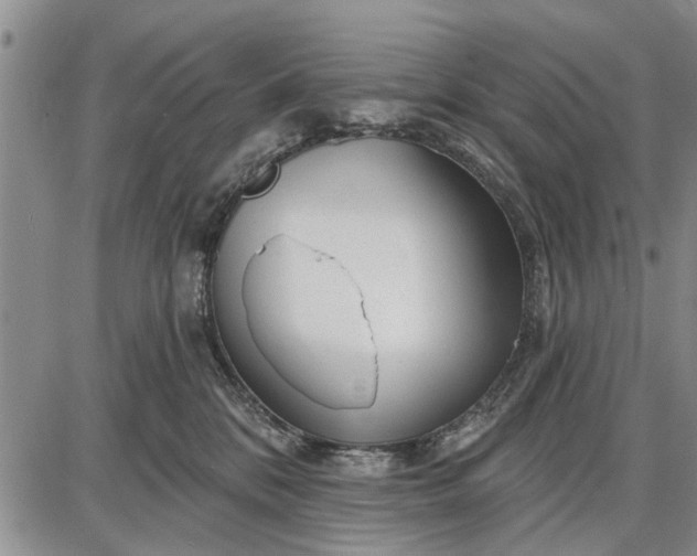 X0000087680328200705181736