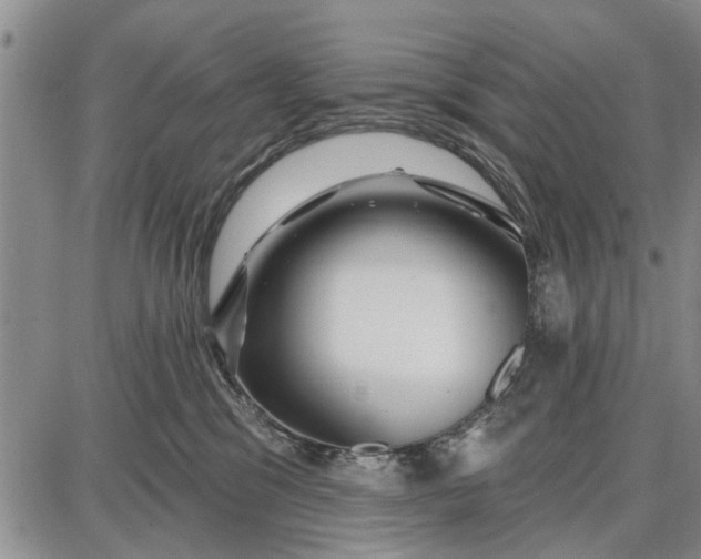 X0000087680329200705181736