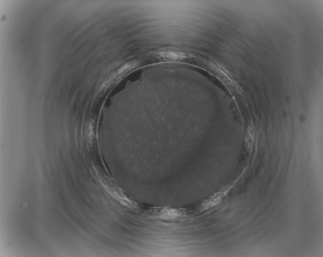 X0000087680330200705181736