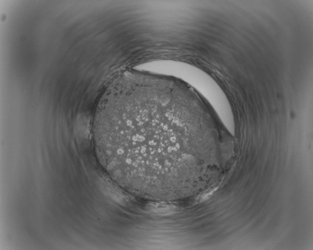 X0000087680331200705181736