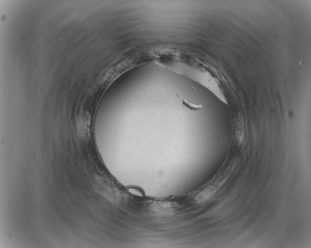 X0000087680332200705181736