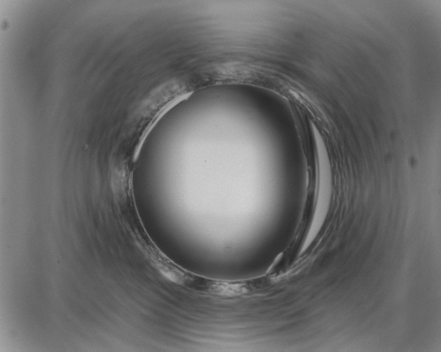 X0000087680333200705181736