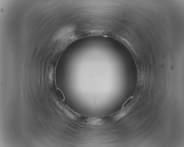 X0000087680334200705181736