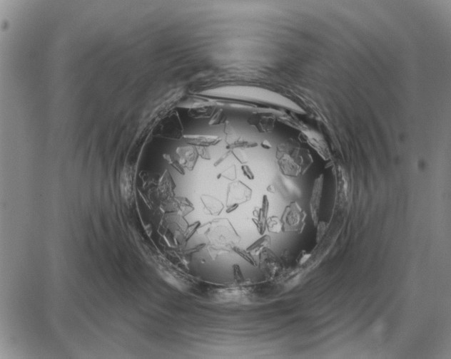 X0000087680335200705181736