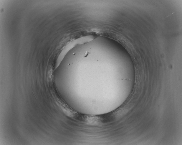 X0000087680336200705181736