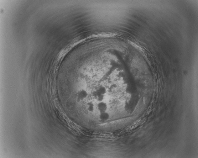 X0000087680337200705181735