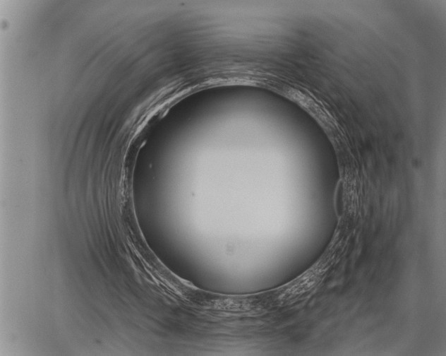 X0000087680338200705181735