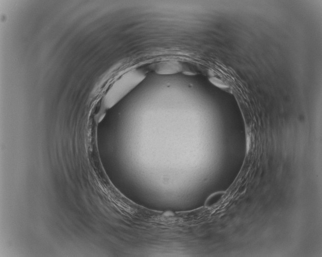 X0000087680339200705181735